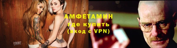 стаф Алзамай