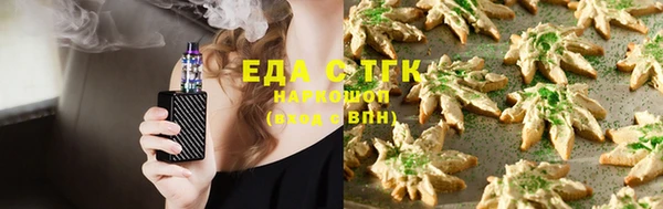 тгк Алексин